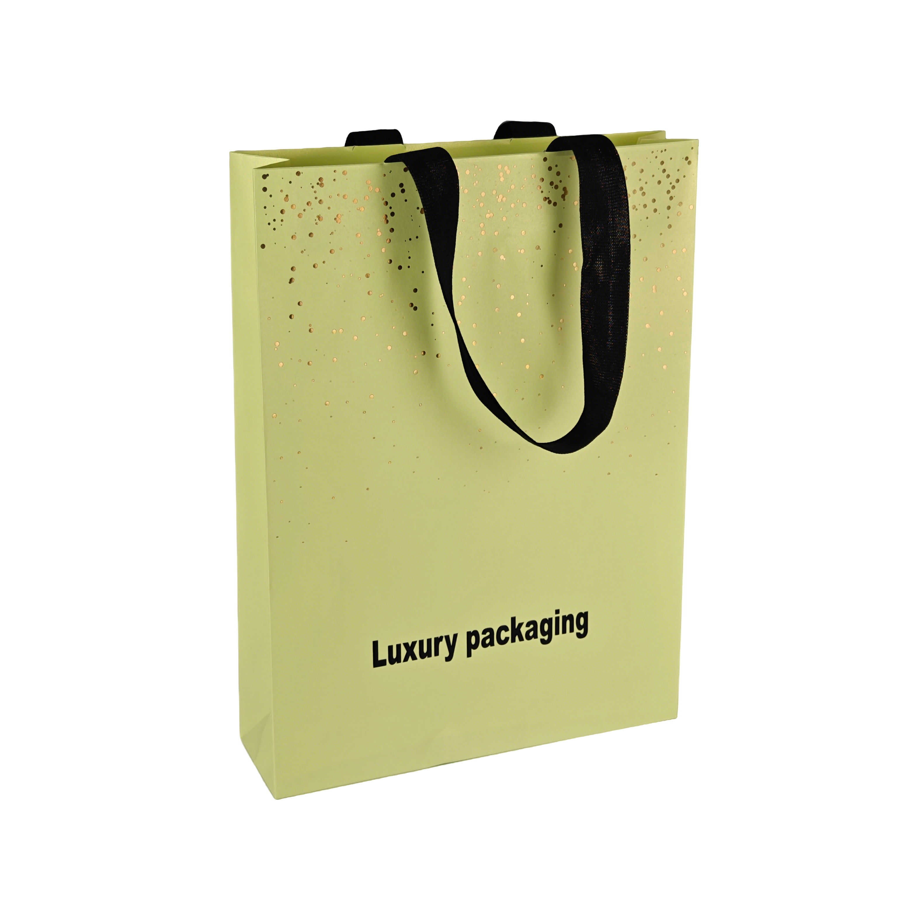 Paper Carry Bags 